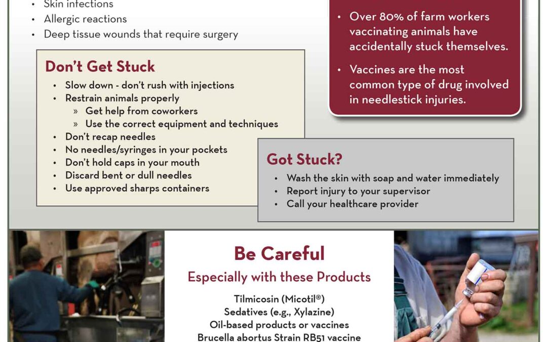 UMASH: Needlestick Prevention (Farm)