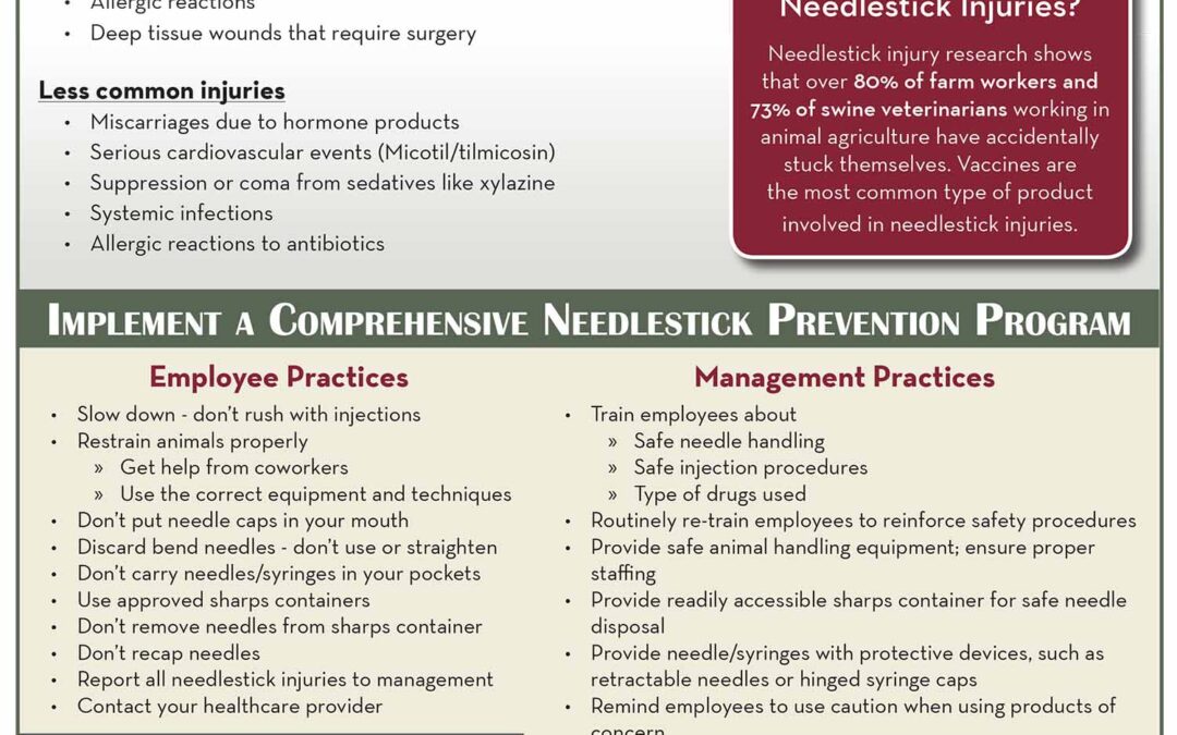 UMASH: Needlestick Prevention (Vets)