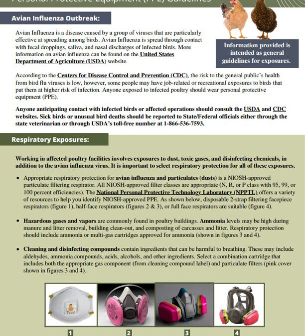 Avian Influenza