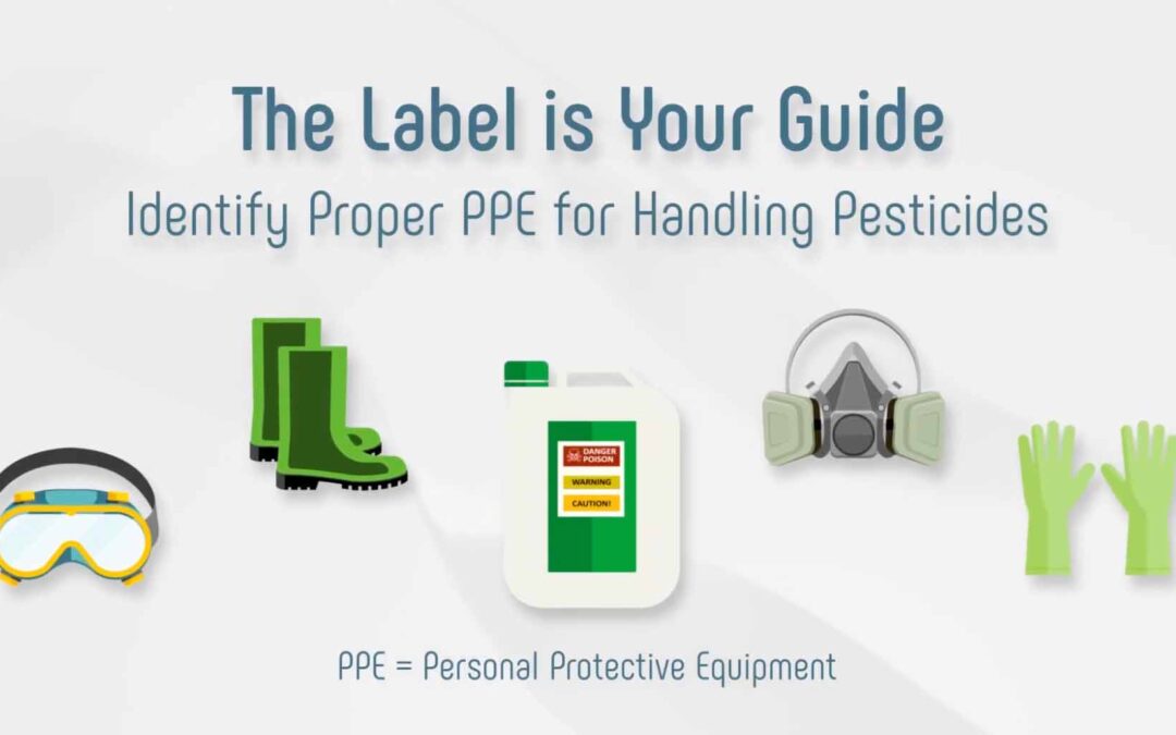 The Label is Your Guide (motion graphic)