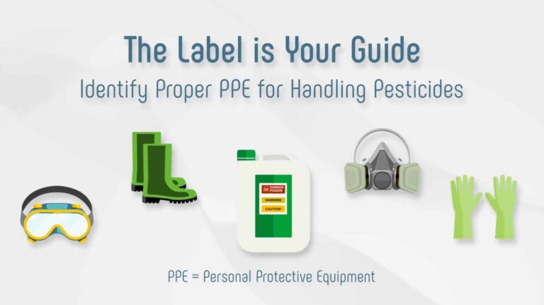 The Label is Your Guide (motion graphic)