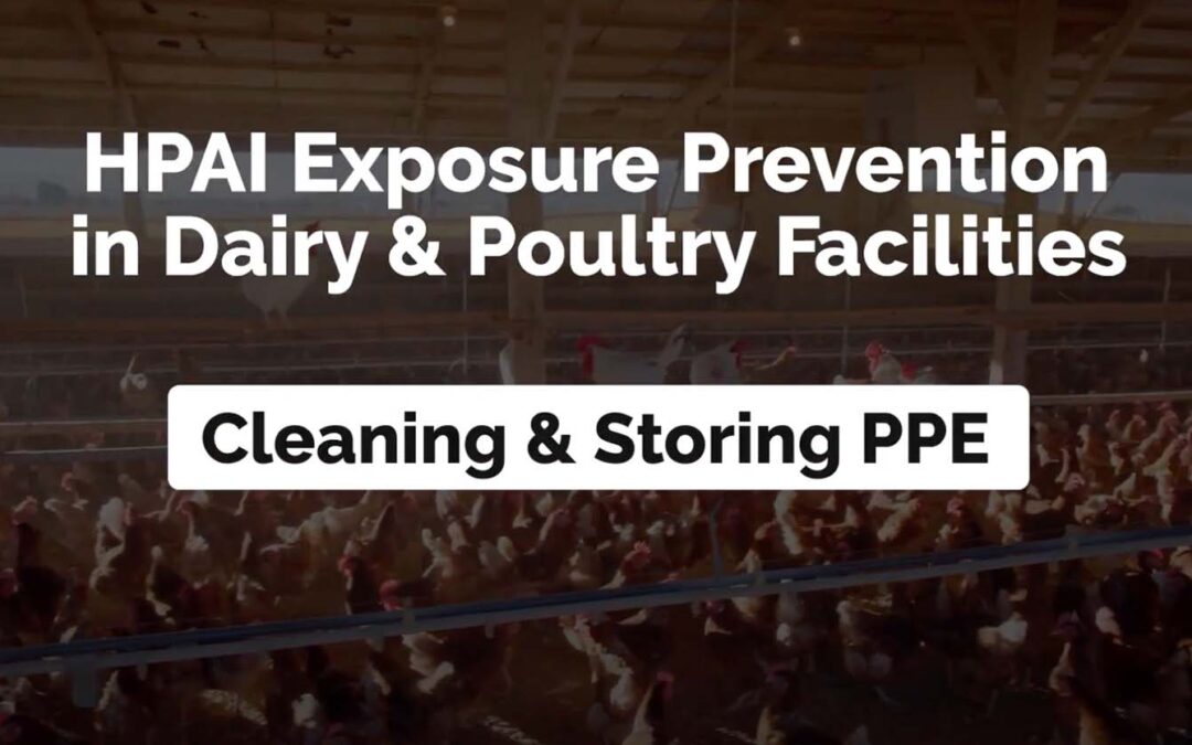 Cleaning and Storing PPE – Poultry and Dairy