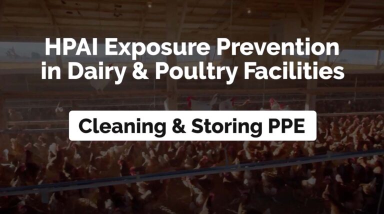 Cleaning and Storing PPE – Poultry and Dairy