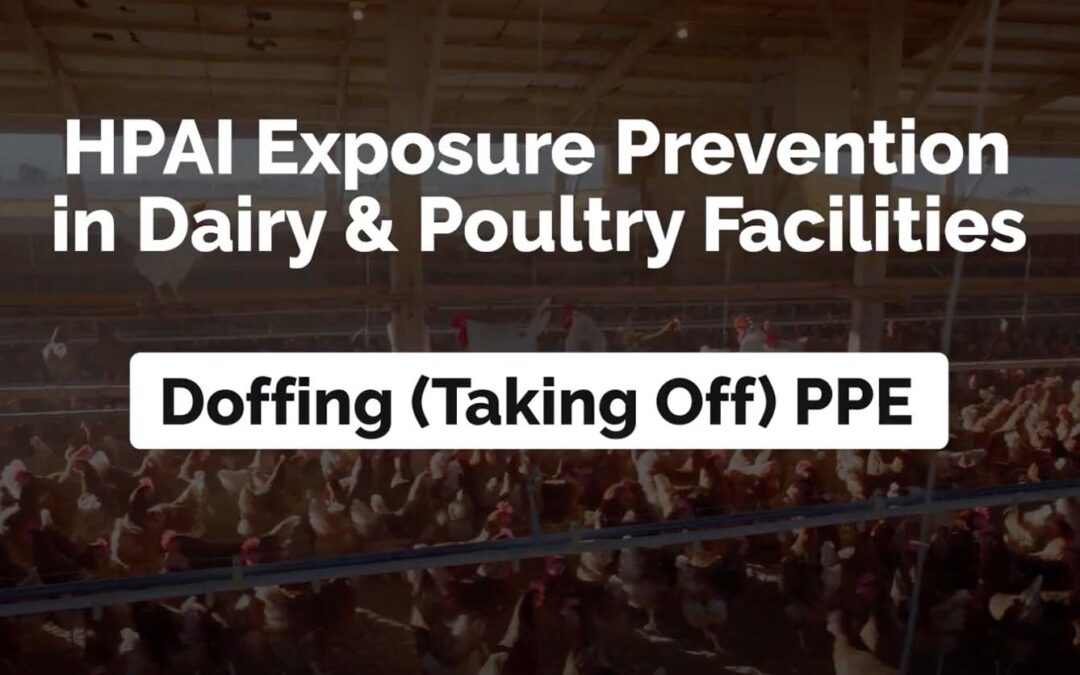 Doffing PPE Poultry and Dairy