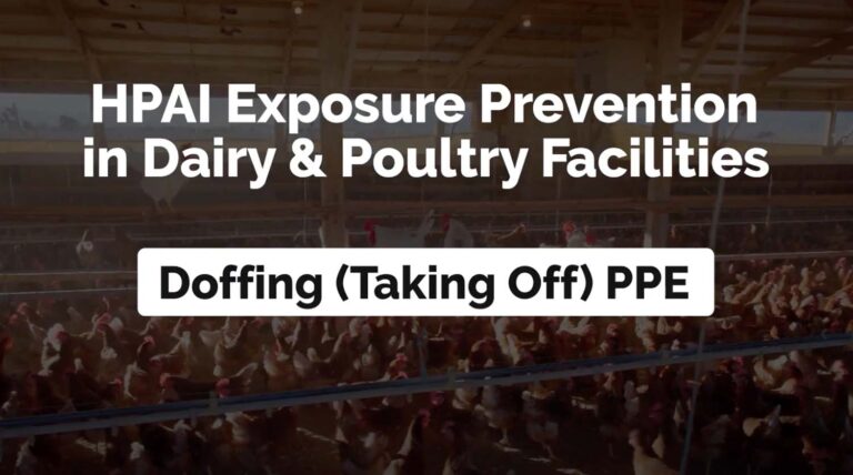 Doffing PPE Poultry and Dairy