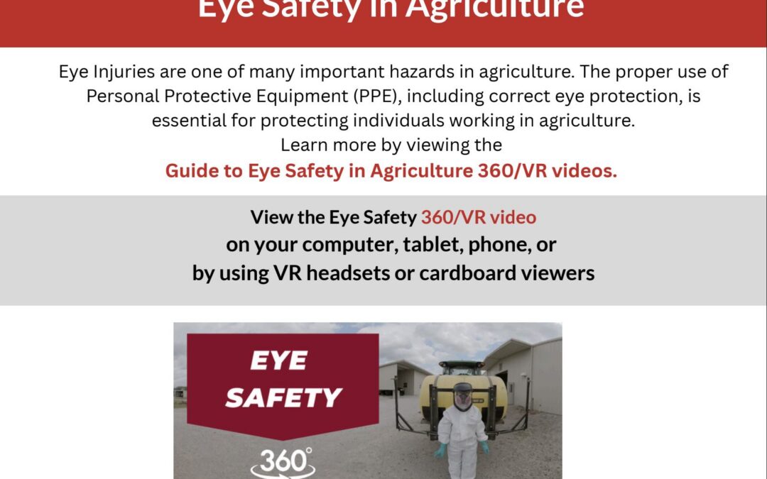 Eye Safety 360 Viewing Instructions