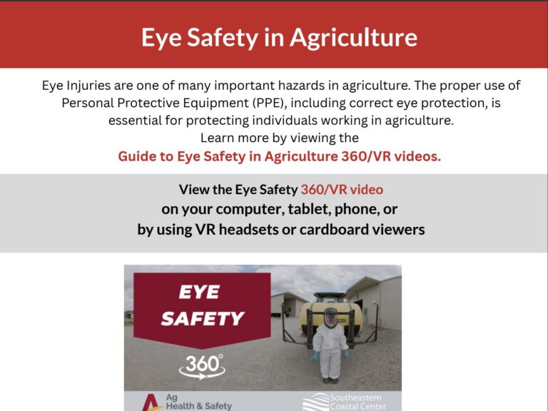 Eye Safety 360 Viewing Instructions
